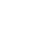 Evolution games at Noxwin Casino